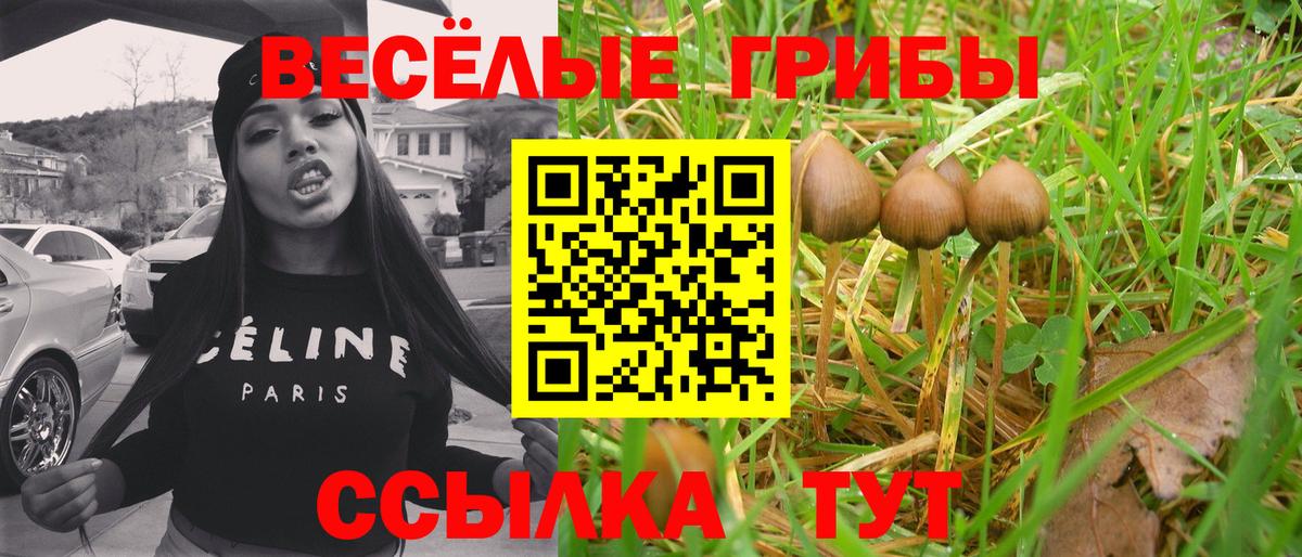 Татарск  Псилоцибиновые грибы мухоморы  Вход с VPN 