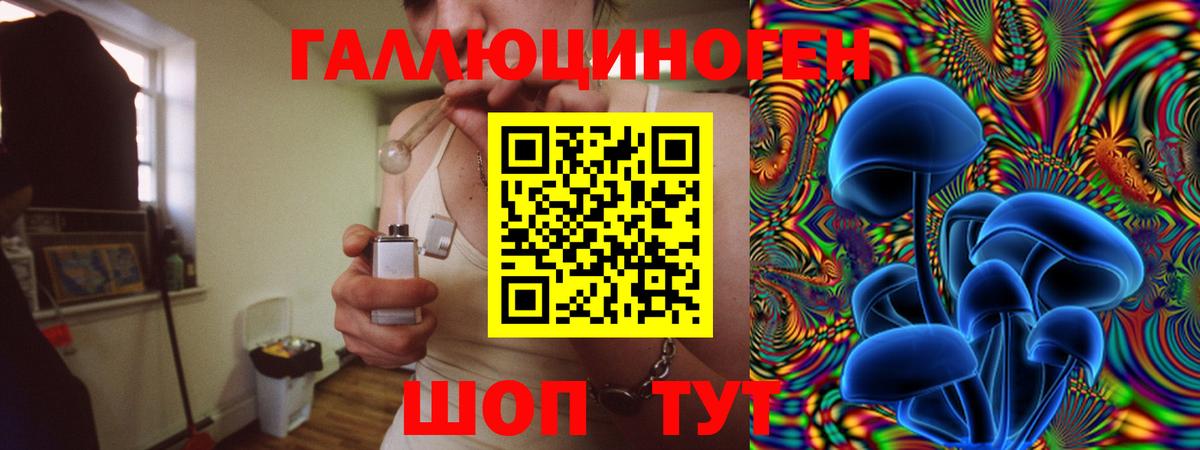 Псилоцибиновые грибы Psilocybe Татарск